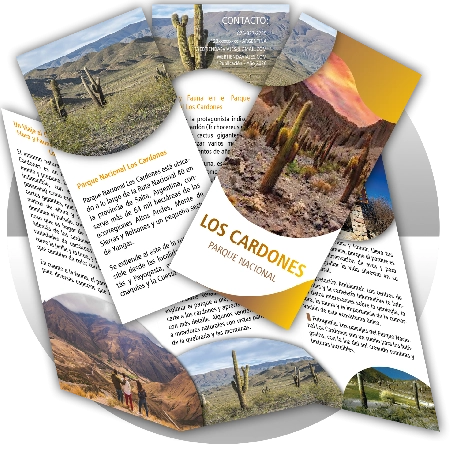 Los Cardones